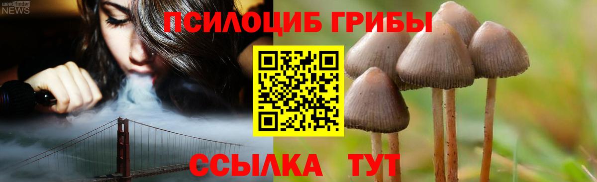 Светлоград  Галлюциногенные грибы GOLDEN TEACHER  Вход с VPN 